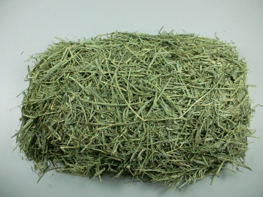 Heu kaufen Premium Heu & Stroh günstig Online vom Heuandi